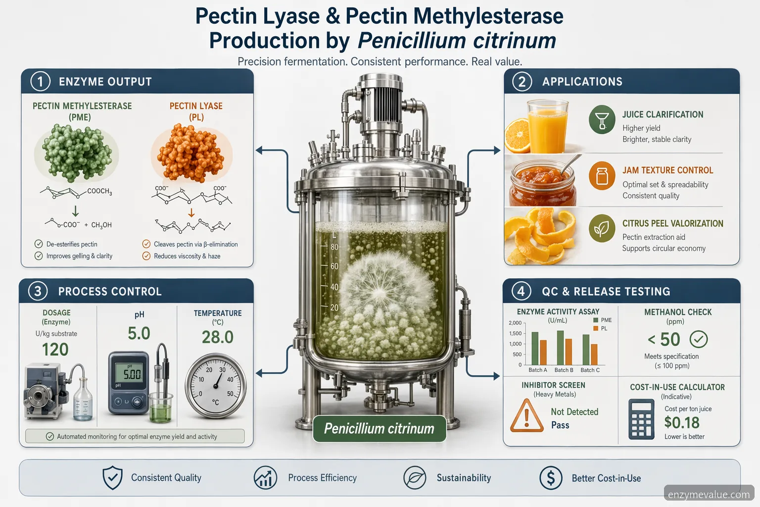 pectin lyase and pectin methylesterase production by Penicillium citrinum guide, enzyme dosage, pH, temperature, QC workflow