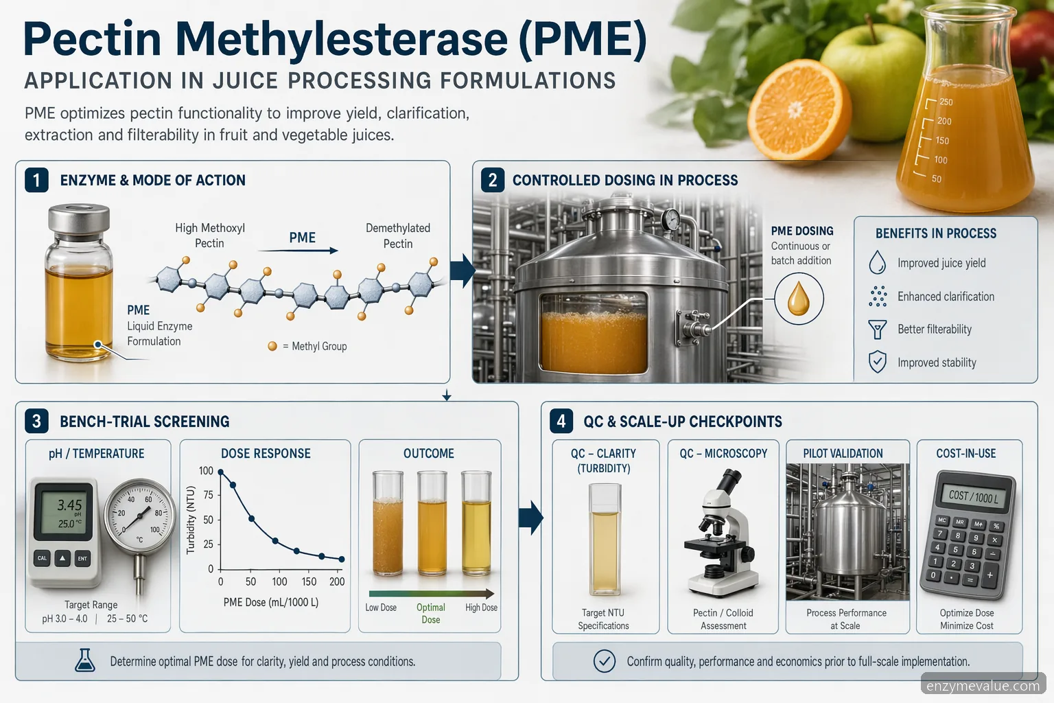 pectin methylesterase application in juice processing, showing enzyme dosing, QC checks, pilot scale-up