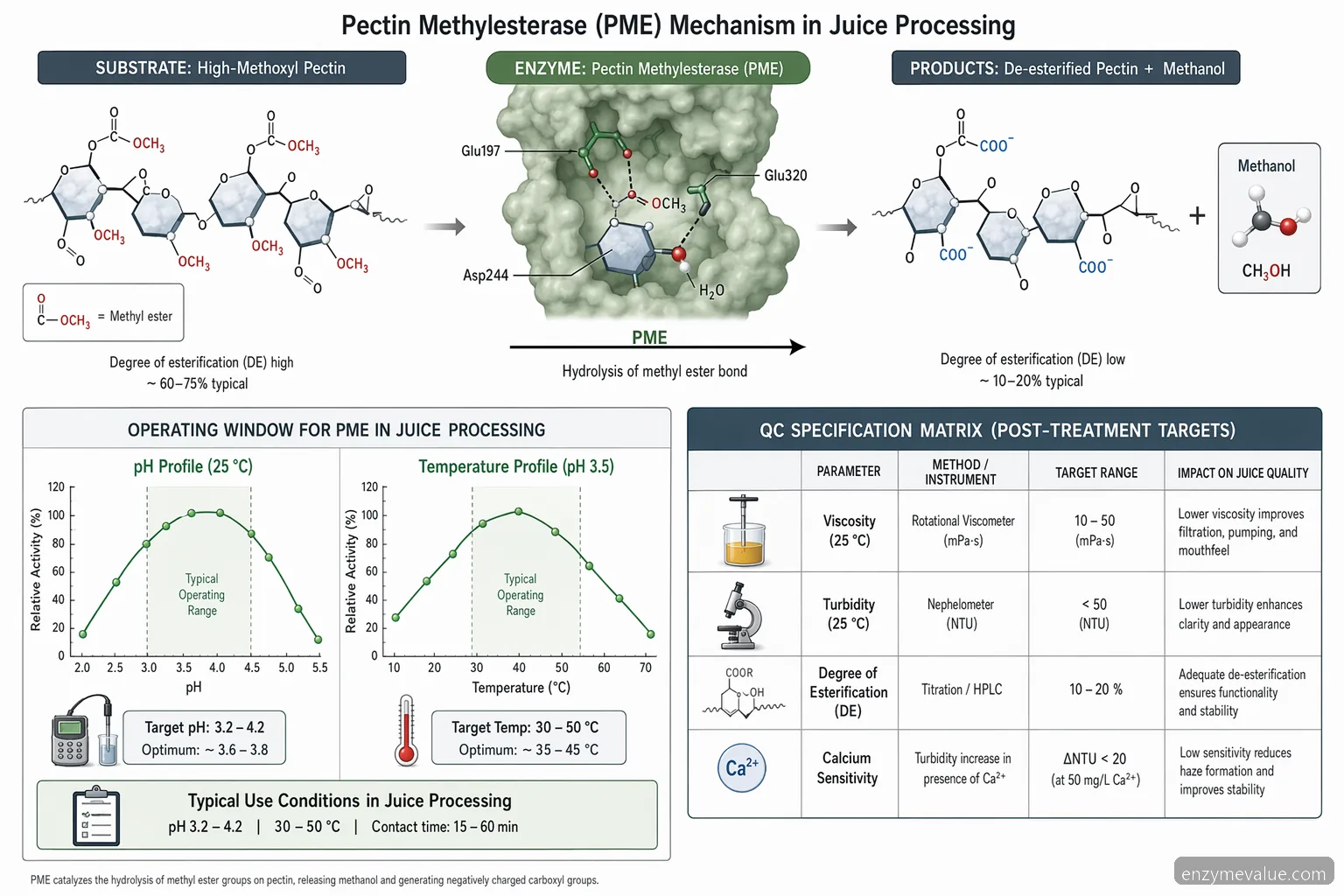pectin methylesterase for juice processing mechanism showing pectin demethylation, pH range, and viscosity checks