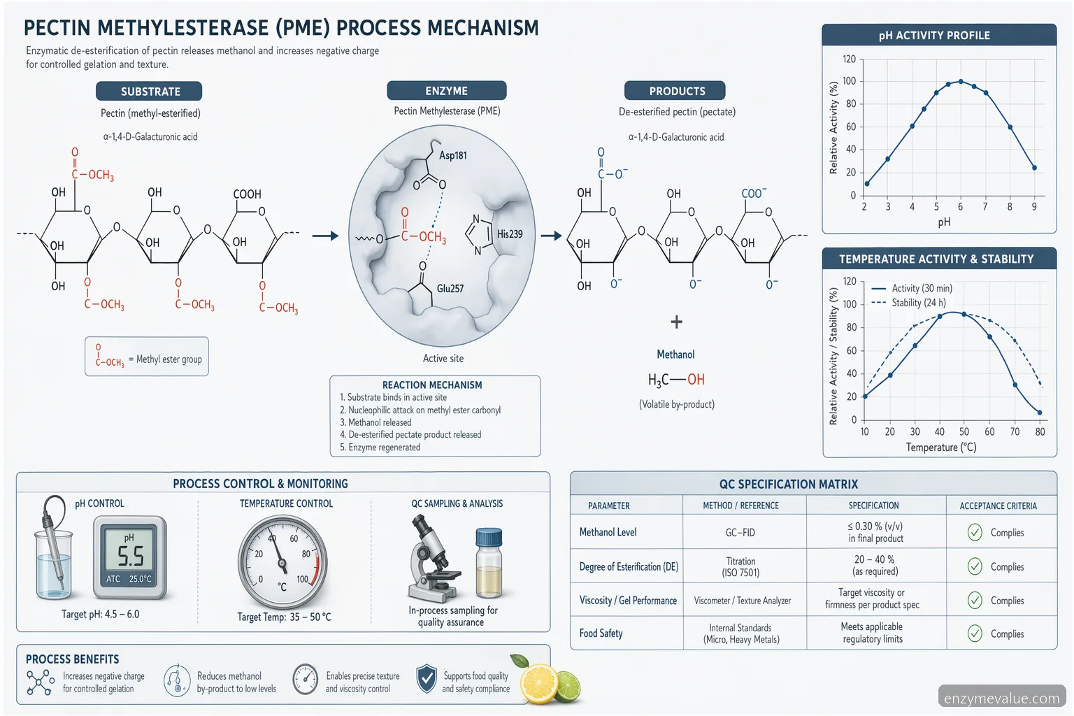 pectin methylesterase methanol production process guide, detailing pectin de-esterification to pectate and methanol