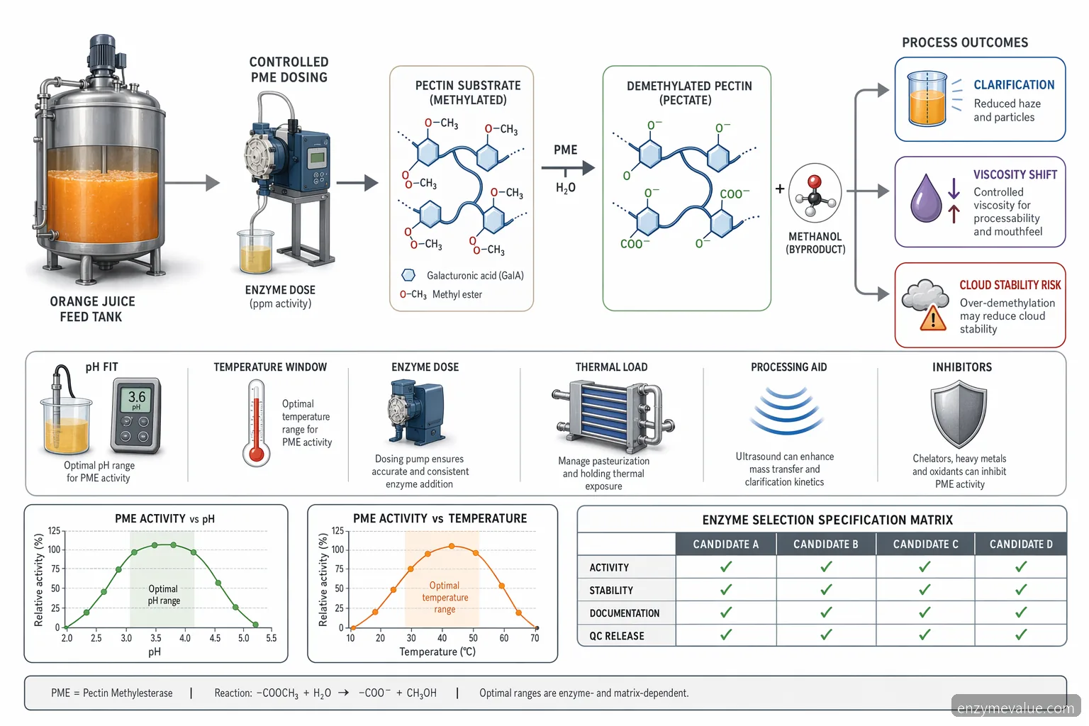 pectin methylesterase orange juice specification checklist diagram mapping demethylation, pH-temperature fit and dosing