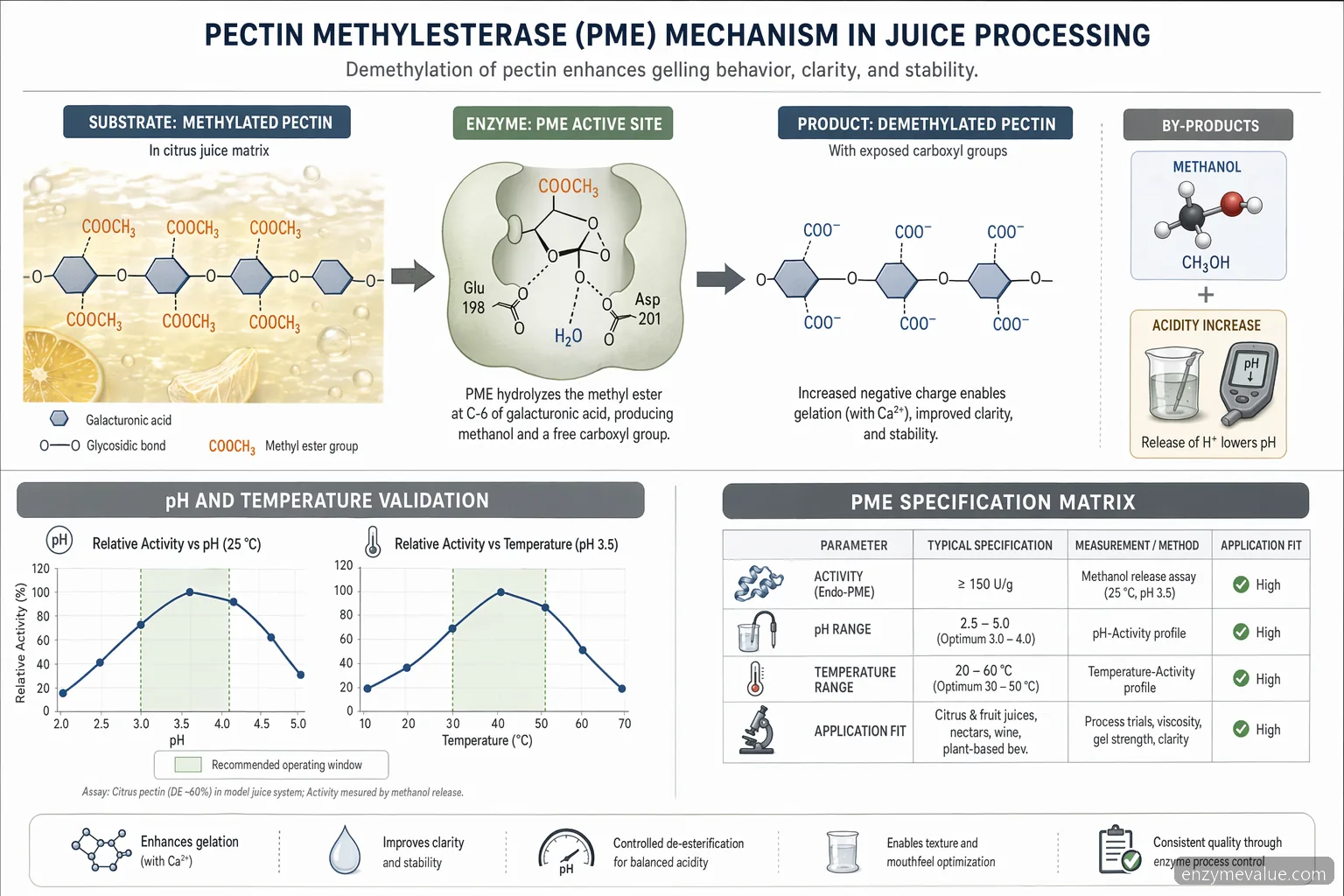 pectin methylesterase supplier for juice processing mechanism diagram of pectin demethylation with pH and temperature windows